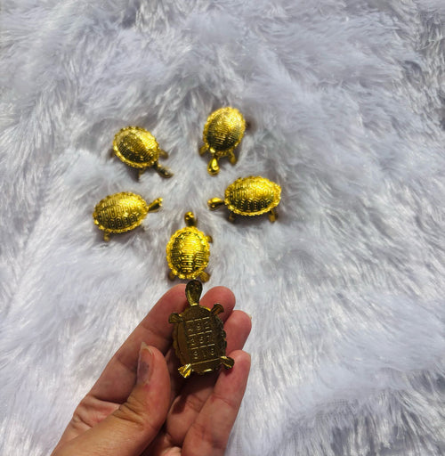 Magic Turtles